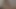 Zoom'da birlikte mastürbasyon. Bugün o kadar iyi hissettim ki üç kez dildo ve vibratörle geldim!