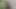 Fucked by My Stepbrother in the Bush