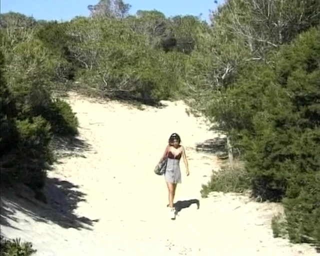 A hot German chick gets double penetrated on the beach