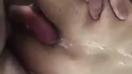 Inculato 44
