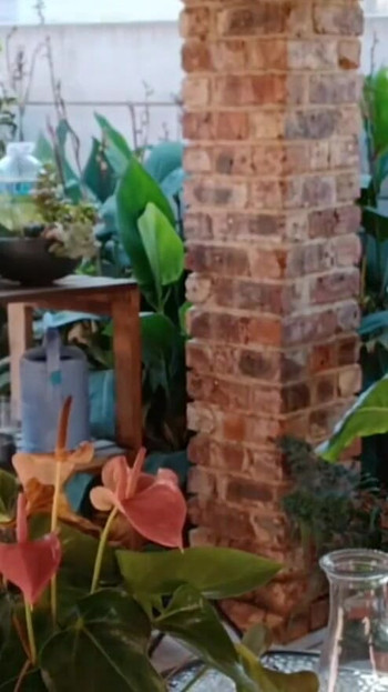 Zabava na otvorenom sa komšijskim cuckold ženom | Klip 1