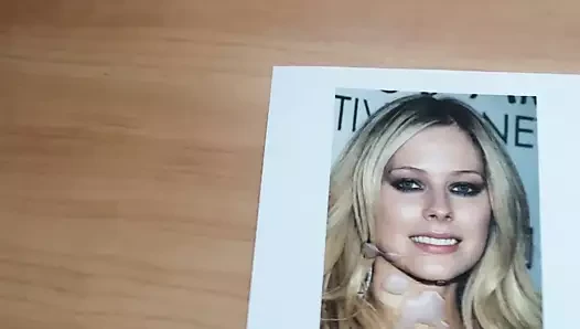 Avril'e övgü