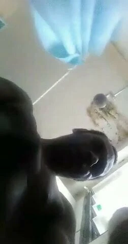 PNG Kok