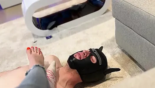 Good Boy Require