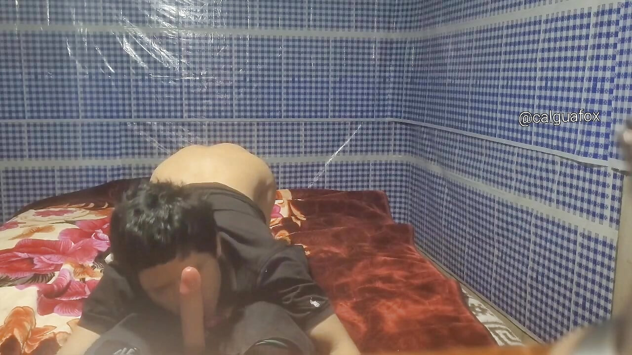 吸吮一根又大又多汁的雞巴