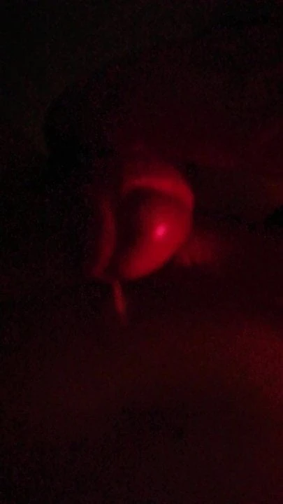 cum 1