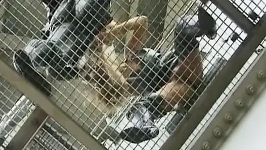 German Babe Having Fun with Naughty Biker