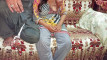 Pregled videozapisa