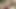 Aksi hot lesbian cewek semok rambut merah yang lagi asik penuh gairah di taman: rok hijau mengkilap dan stoking hitam sampai muncrat