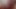 BBC Worship Hallelujah Johnson ( More, More, more and more of my Huge Black Dick )