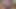 Sissy First CumShot Compliation