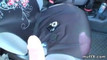 Pregled videozapisa