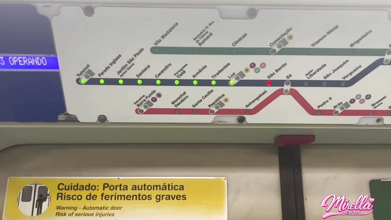 She Can't Stand to See the Volume Marking and Sucked Me Inside the São Paulo Subway