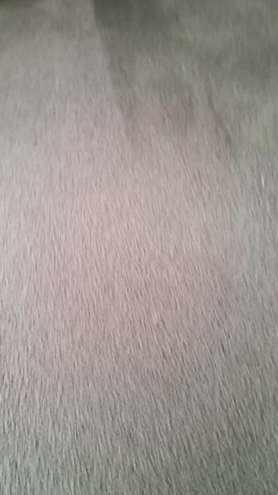 Very close up view of pussy