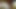 huge cumshot in tent