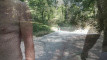 Video pregled