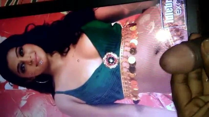 Priyamani 吐痰呻吟暨致敬