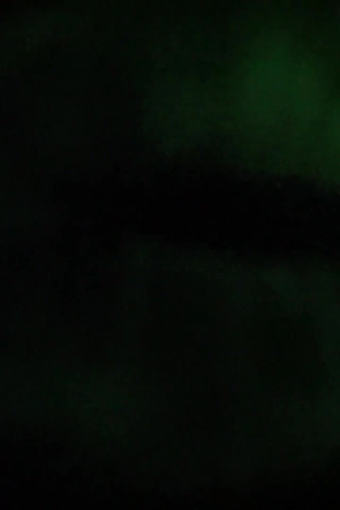 Mesmerized phosphoric glossy green lips
