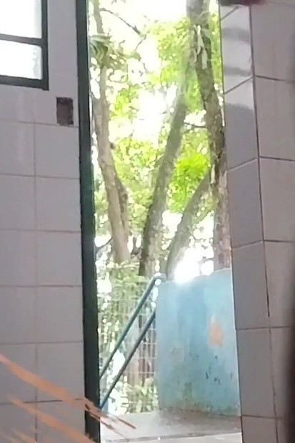 私は、友人をこっそり吸った後、公衆トイレで自分自身をチラ見せしているところを捕まりました。