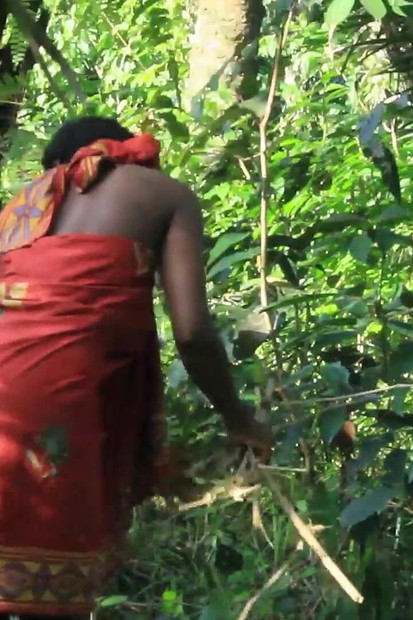 عشاق أفارقة في الأدغال يمارسون الجنس بقوة