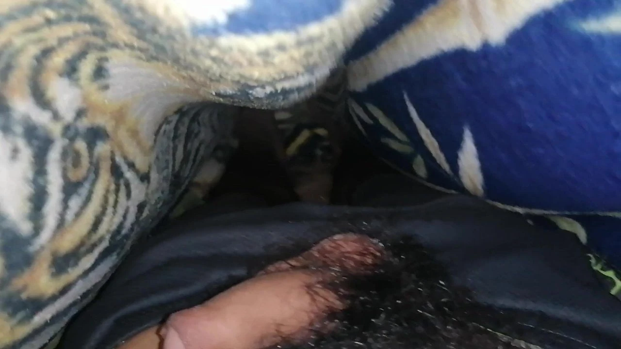 Pito