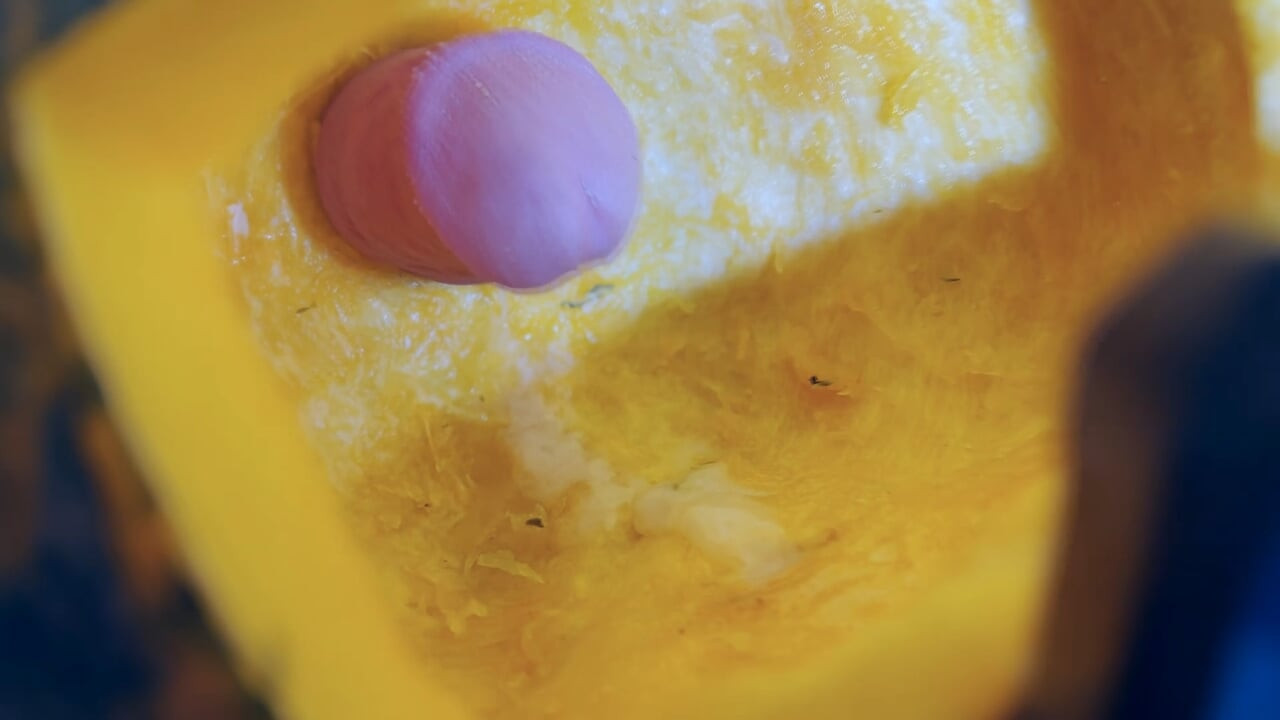 Jerking off in to the pumpkin - Halloween lunch