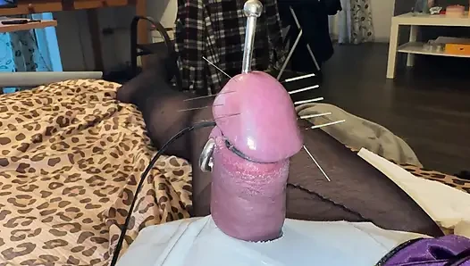 Acorn torture with extra long needles!