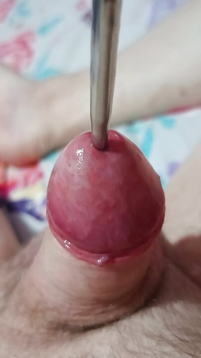 Love sounding my cock