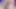 Nappa (db) X Bonney (op)