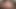 Plus-size Xxxl MILF Gets Her Thick Rolls & Pounding Pussy Fucked Hard