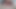 Tickle teaser
