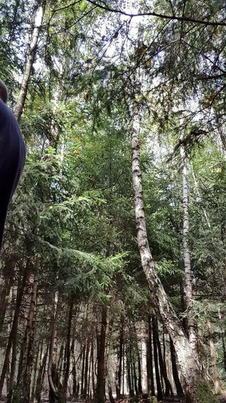 Papa allemand en plein air en bois