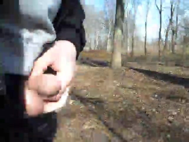 Cock Outdoor