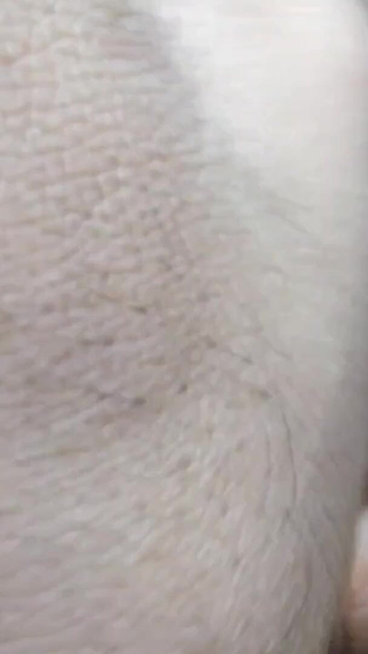 I soaked the juicy pussy of the installment madam. | Clip 1