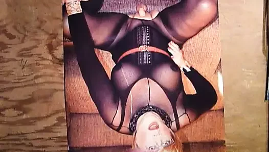 Marilynmaso için haraç