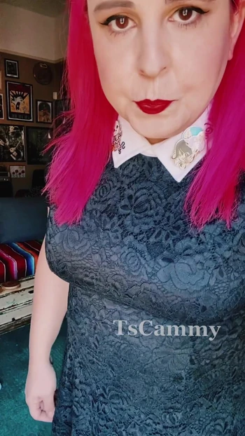 Trans bunny being playful and cute