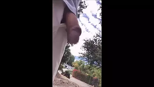paja en el parque 1