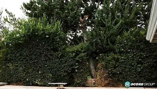 Близкое бритье Codi