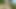 मिल्फ चलता है साथ उसकी जाँघिया नीचे में नेचर