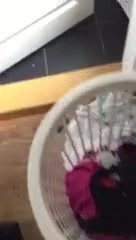 Cum on neighbours panties