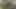 Sevimli 18 yaşındaki luna videoda anal oyuncu seçmeleri yapıyor