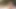 Amazing trans babes banging each other's beautiful asses