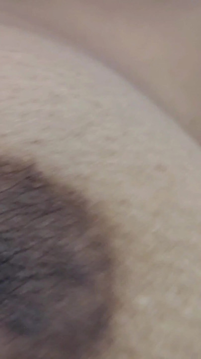 主与我多斯特