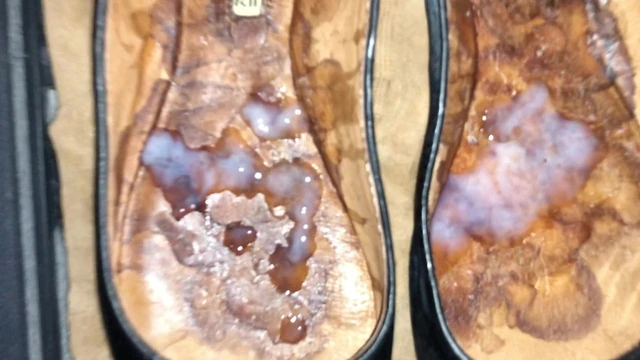 Cum on GF Flat Ballerinas (17. Shot)