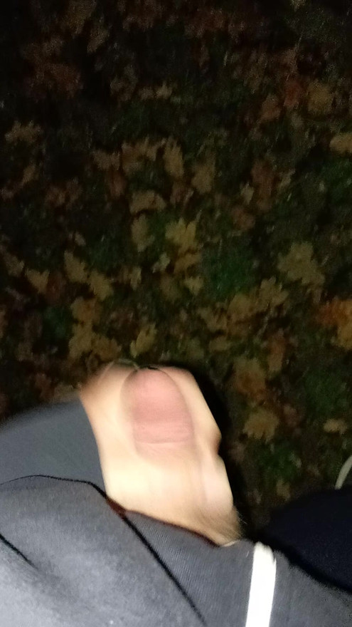 Horny snotty on a parking lot