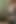 Tombul seksi azgın kız evi temizliyor, striptiz yapıyor ve azdırıyor