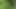 HIDDEN IN THE GRASS