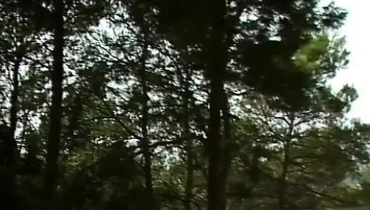 Vintage - adegan seks anal cewek jalang jerman