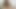 Tantaly Sex Doll Torso Condom Fisting Handjob Shanaxnow