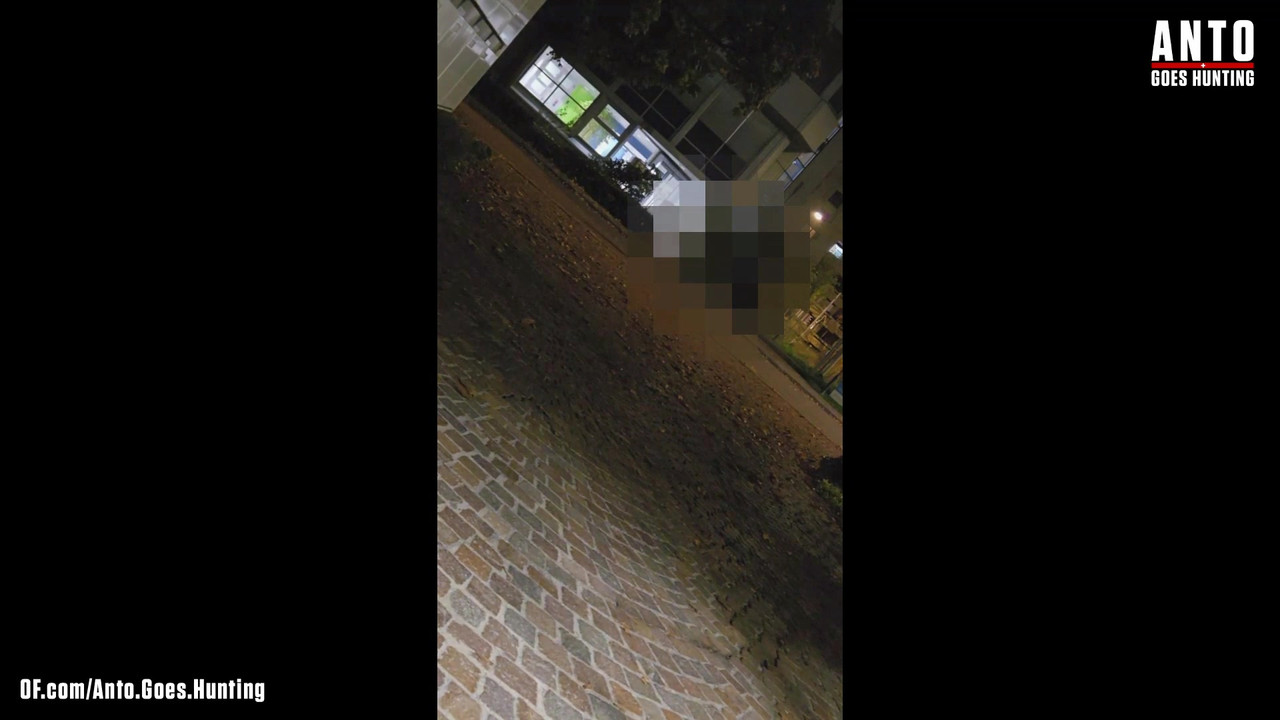 另一个保安走近并说服